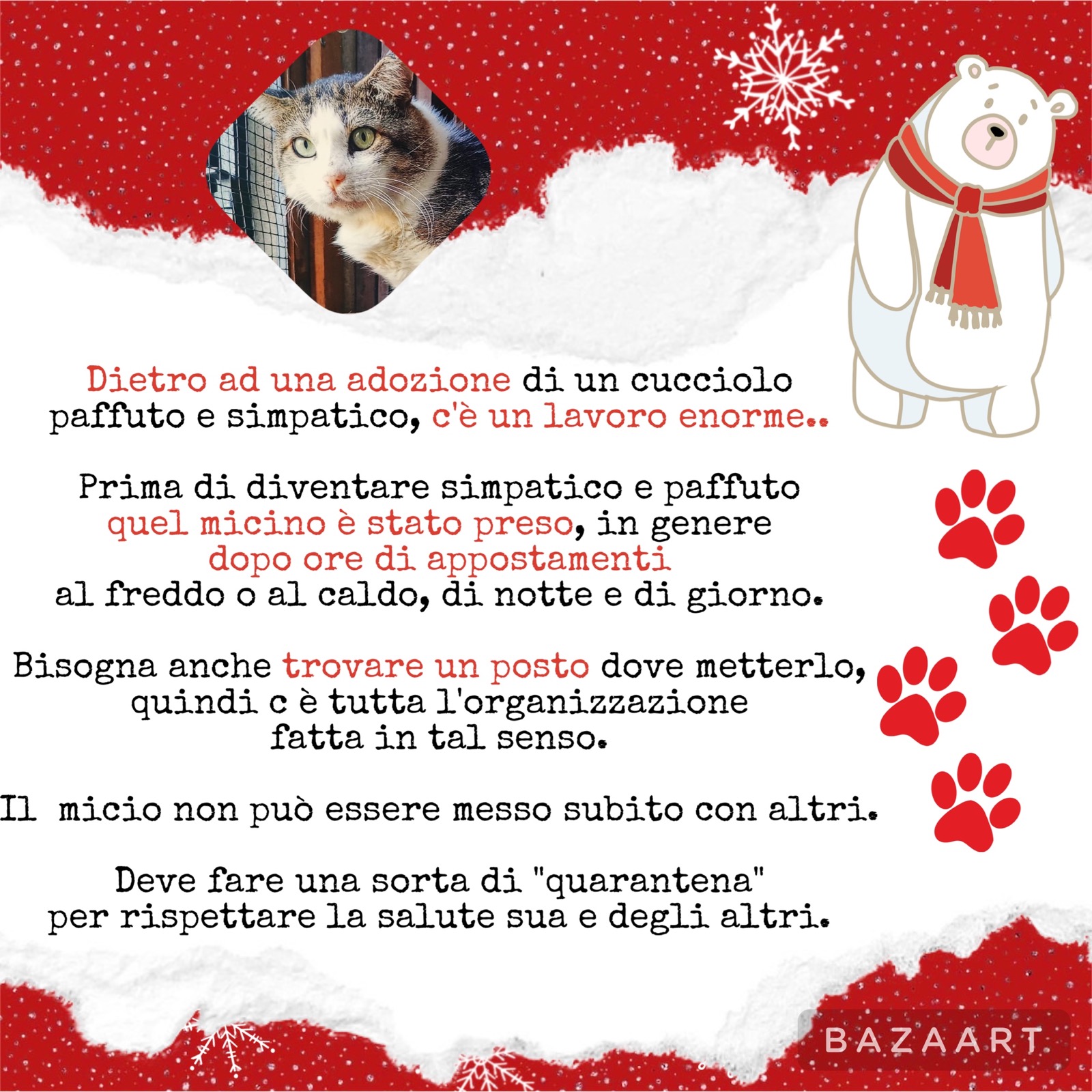 storia-03